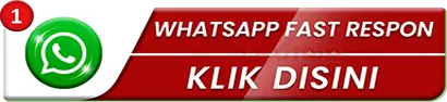 WHATSAPP DEWIHOKI